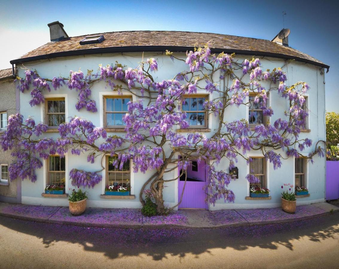 Deerpark Cottage, Inistioge, Kilkenny Eksteriør billede